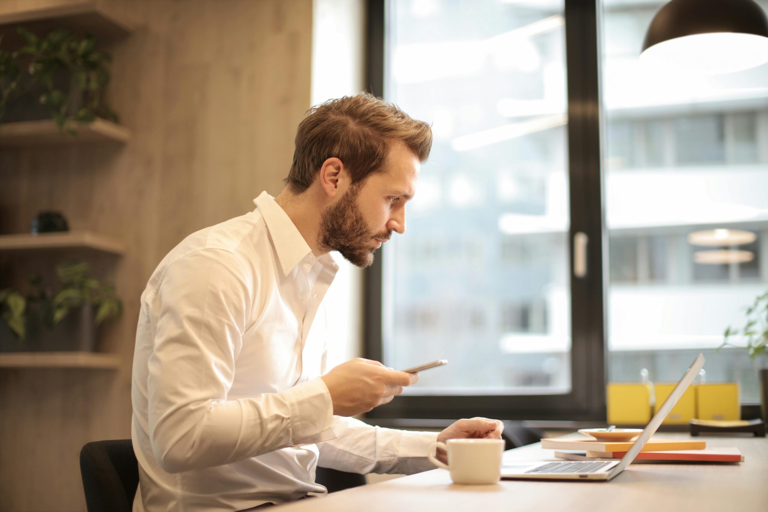 frases de empreender
